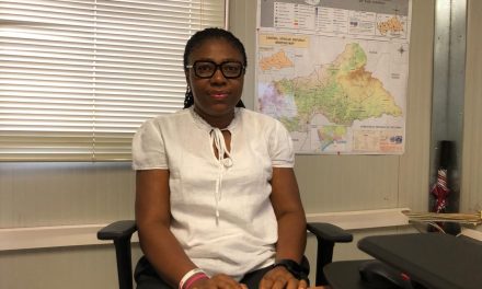 Centrafrique : « la Minusca a fait des progrès significatifs dans la protection des civils de la région du Haut Oubangui », selon Helen Tonga
