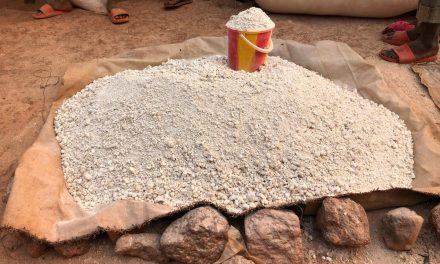 Centrafrique :  la mévente des produits champêtres et le manque des pièces de monnaies, un calvaire des habitants de Bangassou