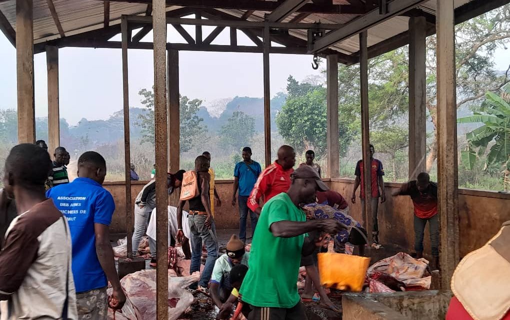 Centrafrique : l’abattoir de boucherie à Sibut ne répond pas aux normes standards