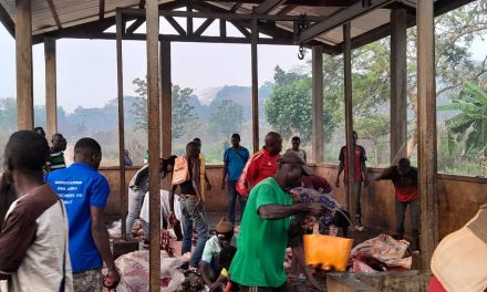 Centrafrique : l&rsquo;abattoir de boucherie à Sibut ne répond pas aux normes standards