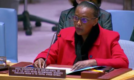 Discours de la Représentante Spéciale du Secrétaire Général (SRSG) pour la République Centrafricaine au Conseil de Sécurité des Nations Unies