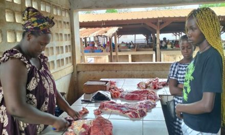 Centrafrique : flambée de prix de viande de bœuf sur les marchés de Bangui