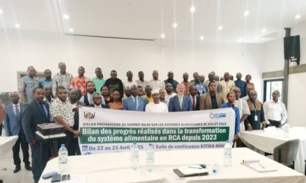 Centrafrique : bilan du système alimentaire de juillet 2025