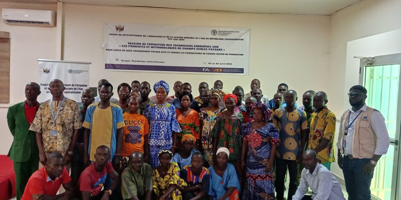 Centrafrique : la FAO renforce les capacités des techniciens endogènes sur les principes et méthodologies des Champs Écoles Paysans