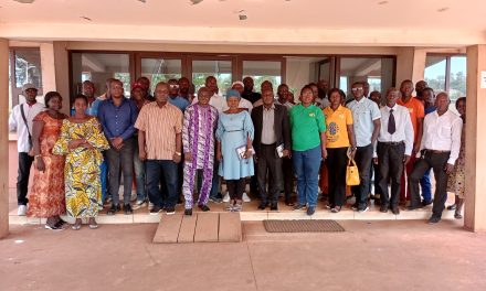 Centrafrique : « Guiwara », une plateforme d&rsquo;opportunités et d&rsquo;enregistrement gratuit des PME sur internet