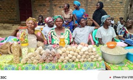 Centrafrique : l&rsquo;engagement de l&rsquo;ONG DRC dans Lim-pende
