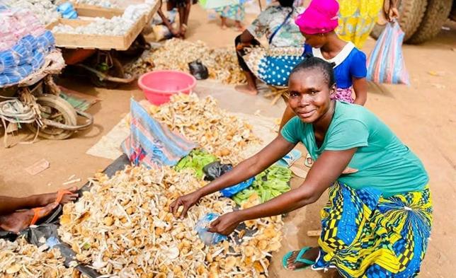 Centrafrique : abondance des champignons sur les marchés de Bangui, Bimbo et Bégoua