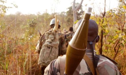 Centrafrique : la fragilité de la sécurité à Zémio, un réel défi pour le gouvernement