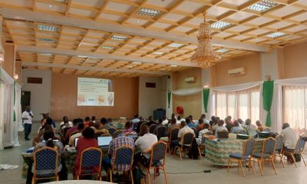 L&rsquo;association AO Centrafrique forme des professionnels de santé sur le Traitement non opératoire des fractures les plus courantes