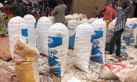 Centrafrique : la flambée du prix du manioc à Sibut inquiète les consommateurs