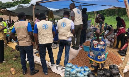 Centrafrique : La FAO appuie la foire aux semences du PARSANKO à Mabo, sur la route de Sibut