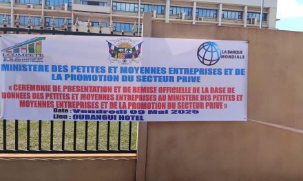 Centrafrique : la FAFECA salue la dotation du ministère des PME d’une base de données fiable PME/PMI