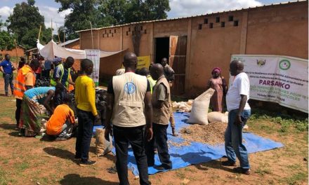 Centrafrique : la FAO poursuit son appui technique aux foires semencières du PARSANKO dans la préfecture de la Ouaka