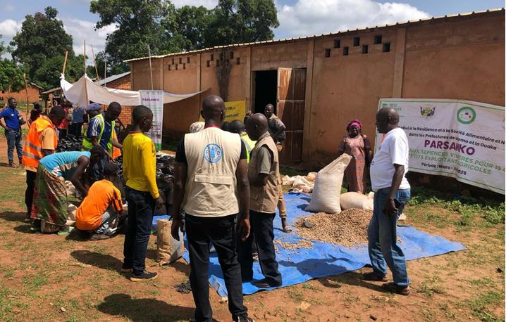 Centrafrique : la FAO poursuit son appui technique aux foires semencières du PARSANKO dans la préfecture de la Ouaka