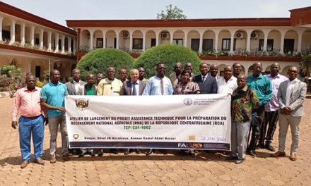 La Centrafrique veut actualiser ses données statistiques agricoles