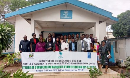 Centrafrique : le PNUD aide le gouvernement à se doter d’un mécanisme de Paiements pour Services Environnementaux