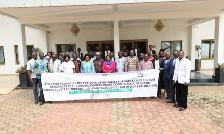 Centrafrique :  validation en cours du cadre légal sur l’accès aux ressources génétiques