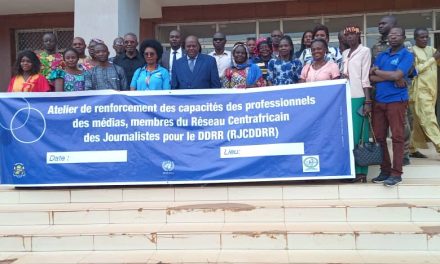 Centrafrique : des journalistes renforcent leurs capacités pour accompagner le processus du DDRR
