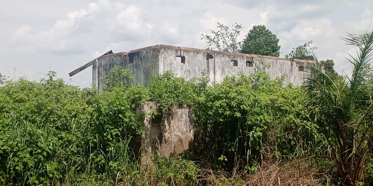 Centrafrique :  des femmes enceintes meurent pendant l’accouchement, en raison du manque de centre de santé dans les villages Golgotha Ndia et Limassa