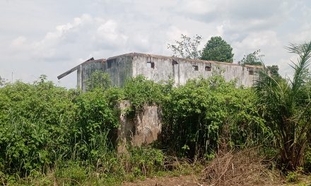 Centrafrique :  des femmes enceintes meurent pendant l’accouchement, en raison du manque de centre de santé dans les villages Golgotha Ndia et Limassa