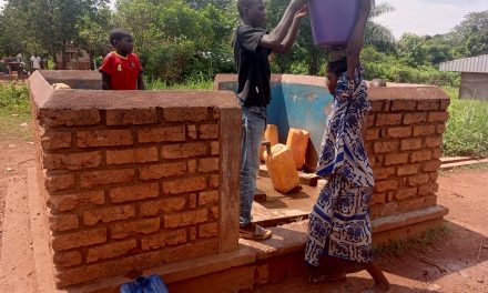 Centrafrique : l&rsquo;unique forage au village Poto-poto approvisionne près de 2000 habitants