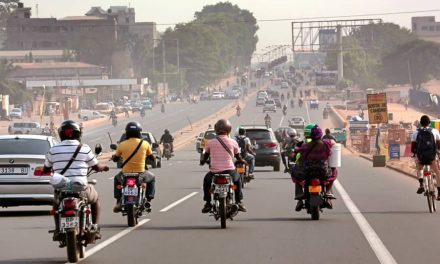 Manifestations au Togo : Trois jours d’échec pour les activistes de la diaspora