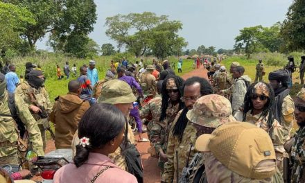 Centrafrique : Début du désarmement de plus de 570 rebelles de l’UPC à Maloum