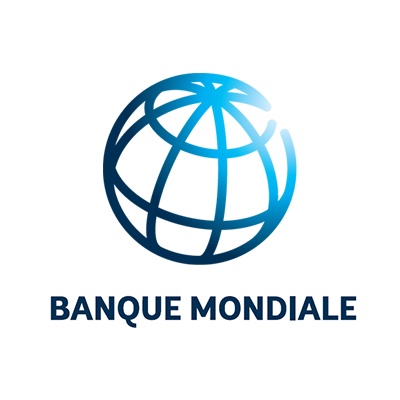 Recrutement d’un Consultant (firme) pour la réalisation d’une étude de faisabilité technique, économique, environnementale et sociale d’amélioration de la navigation sur le cours d’eau Oubangui en RCA   