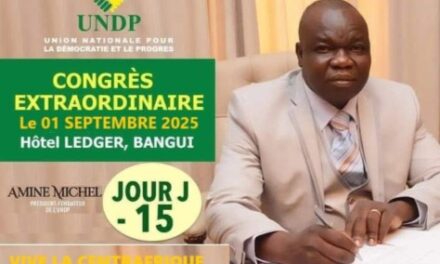 Centrafrique : Michel Amine attendu à Bangui le 15 août pour relancer les activités de l’UNDP en vue de la présidentielle de 2025