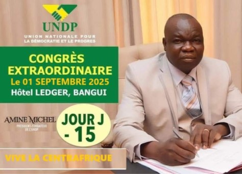 Centrafrique : Michel Amine attendu à Bangui le 15 août pour relancer les activités de l’UNDP en vue de la présidentielle de 2025