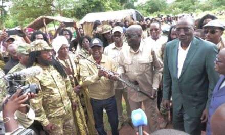 Centrafrique : début du désarmement de 600 ex-rebelles de l’UPC de Ali Darassa à Maloum