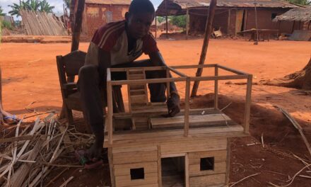 Centrafrique : Dieu Béni Vonguiabodé, 17 ans, rêve de bâtir une maison à étage en bambou