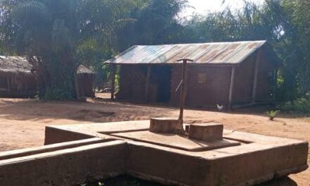 Centrafrique : pénurie d’eau à Sébokélé 2, les habitants réclament une solution urgente