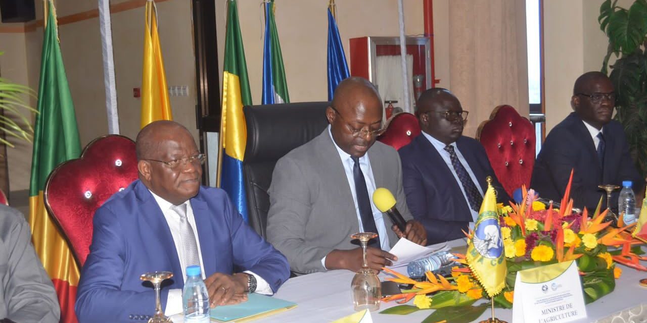 Harmonisation des statistiques agricoles : les Experts des pays de la CEMAC en atelier régional à Brazzaville