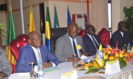 Harmonisation des statistiques agricoles : les Experts des pays de la CEMAC en atelier régional à Brazzaville