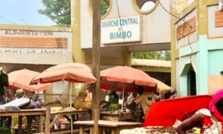 Centrafrique : la population partagée face au désarmement des groupes rebelles UPC et 3R