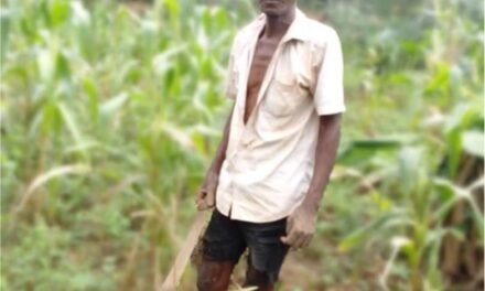 Centrafrique : à Gbandjèrè, le cri d’un village oublié entre pénurie d’eau et routes dégradées