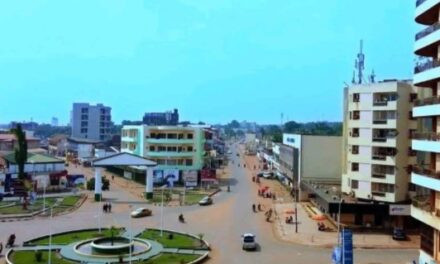 Au moins 5 milliards de FCFA de la Banque mondiale à la Centrafrique pour lutter contre les changements climatiques
