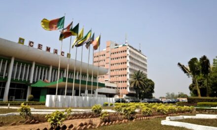 Le Sommet ordinaire des Chefs d&rsquo;État de la CEMAC reporté au 10 septembre prochain
