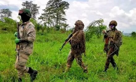 Centrafrique : recrudescence des attaques contre les civils malgré l’accord de cessez-le-feu avec l’UPC et les 3R