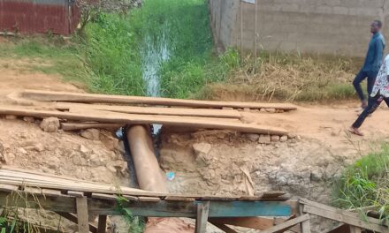 Centrafrique : dégradation colossale du pont de Mbongo Orchidée à Bimbo