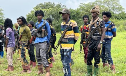 Centrafrique : plus de 400 ex-combattants de l&rsquo;UPC et des 3R désarmés à Maloum et Koui après l’accord de paix de N’Djamena