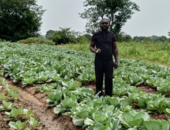 Centrafrique : l’Association Agro-pastorale de Bimbo face aux défis de financement