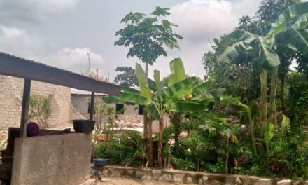 Centrafrique : le quartier Caritas confronté à une vague de braquages à main armée