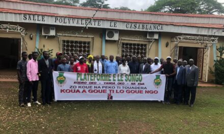 Centrafrique : la Plateforme « E Lé Songo » lance sa rentrée politique et défend la crédibilité de l’ANE