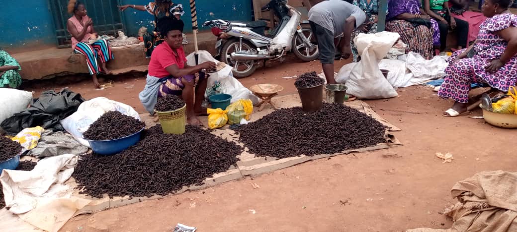 Centrafrique : l’abondance des chenilles sèches sur les marchés de Bangui