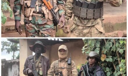 Quel rôle jouent les instructeurs militaires russes dans le désarmement en RCA ?