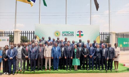 Caucus Africain 2025 : la RCA plaide pour l&rsquo;accompagnement des pays fragiles et l&rsquo;augmentation des financements