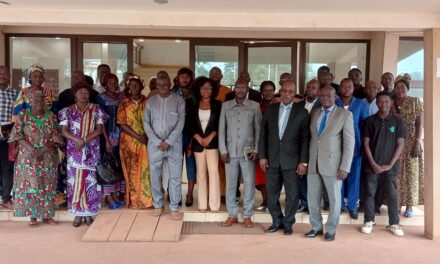 Centrafrique : Louma Technologies sensibilise les organisations professionnelles des PME sur l&rsquo;annuaire numérique des professionnels nommé « Guiwara »