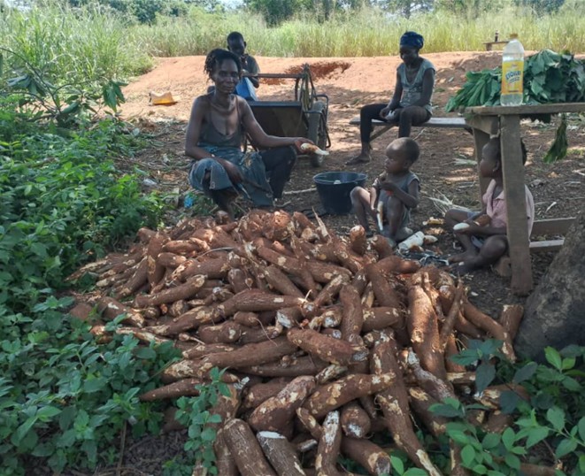 Centrafrique : les cultivateurs du village Bimon dénoncent des pratiques injustes dans la distribution de semences